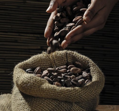 The cost of cheap sweetness: Chocolate still depends on child labor